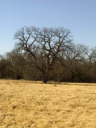 , Brown County, Texas