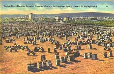 Ginning Season, Howard County, Texas