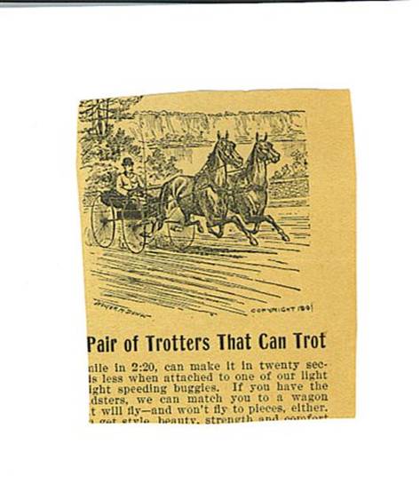 Trotters & buggy.jpg